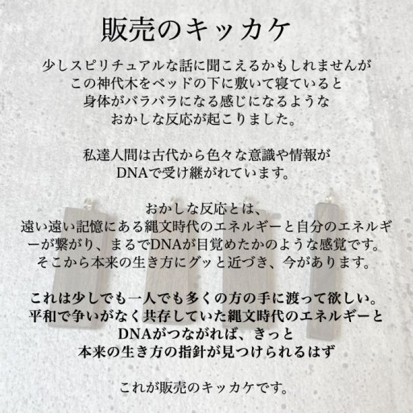 画像4: 【縄文時代の眠り木】神代木ネックレス鑑定書付きも可能。【3-5-0306】 (4)