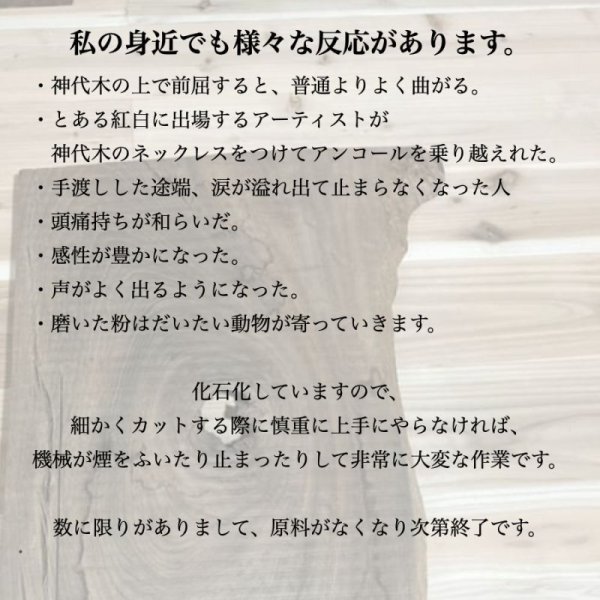 画像5: 【縄文時代の眠り木】神代木ネックレス鑑定書付きも可能。【3-5-0306】 (5)