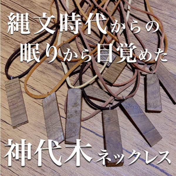 画像1: 【縄文時代の眠り木】神代木ネックレス鑑定書付きも可能。【3-5-0306】 (1)