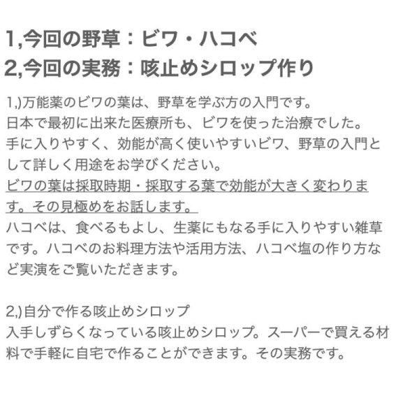 画像3: 【6月20日(木)オンライン開催】自然と暮らす講座・ビワ・ハコベの座学と活用方法・手作り咳止めシロップの作り方実務 (3)