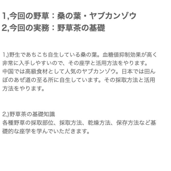 画像3: 【7月18日(木）20時オンライン開催】自然と暮らす講座・桑の葉・ヤブカンゾウの座学と活用方法・野草茶の基本（スギナ・ヨモギ・ドクダミ・桑の葉・柿の葉など） (3)