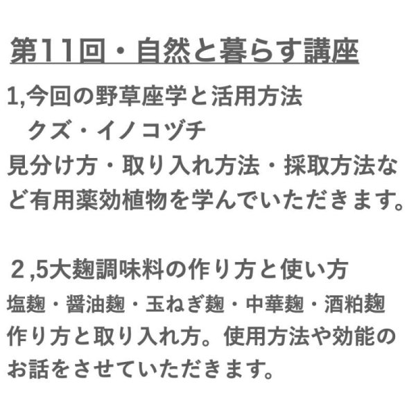 画像2: 【8月15日(木）オンライン講座】自然と暮らす講座・葛・イノコヅチの座学と活用方法・5大麹調味料の作り方と取り入れ方（塩麹・醤油麹＿玉ねぎ麹・中華麹・酒粕麹） (2)