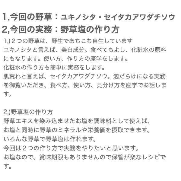 画像3: 【10月10日(木）オンライン講座】自然と暮らす講座・ユキノシタ・セイタカアワダチソウの座学と活用方法・野草塩の作り方と活用方法 (3)