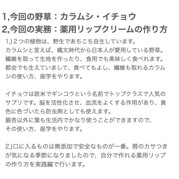 画像3: 【11月7日(木）オンライン講座】自然と暮らす講座・カラムシ・イチョウの座学と活用方法・薬用リップクリームの作り方 (3)