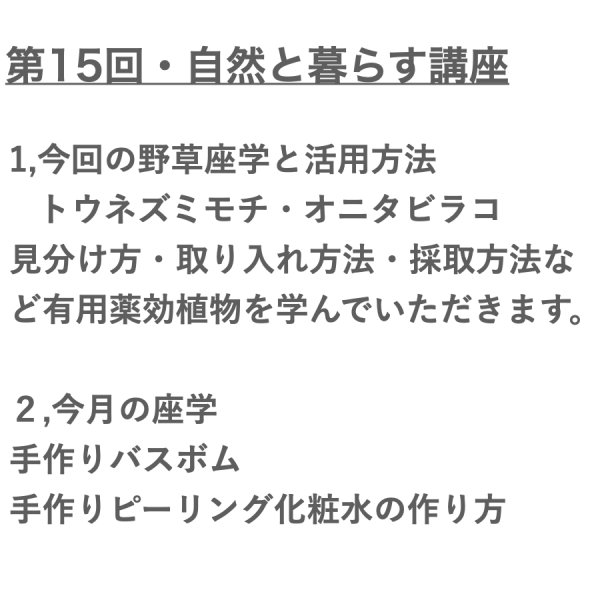 画像2: 【1月9日(木）オンライン講座】自然と暮らす講座・トウネズミモチ・オニタビラコの座学と活用方法・バスボム・ピーリング化粧水の作り方 (2)