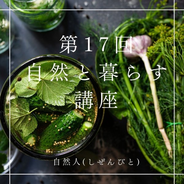 画像1: 【3月13日(木）オンライン講座】自然と暮らす講座/ 春にオススメの美味しい野草６選の 簡単な座学と採取方法・活用方法の実例特集  /今月の座学： 安全な住環境の整え方  /今月の実務： メディカルハーブの活用 　肩こり・腰痛編 (1)
